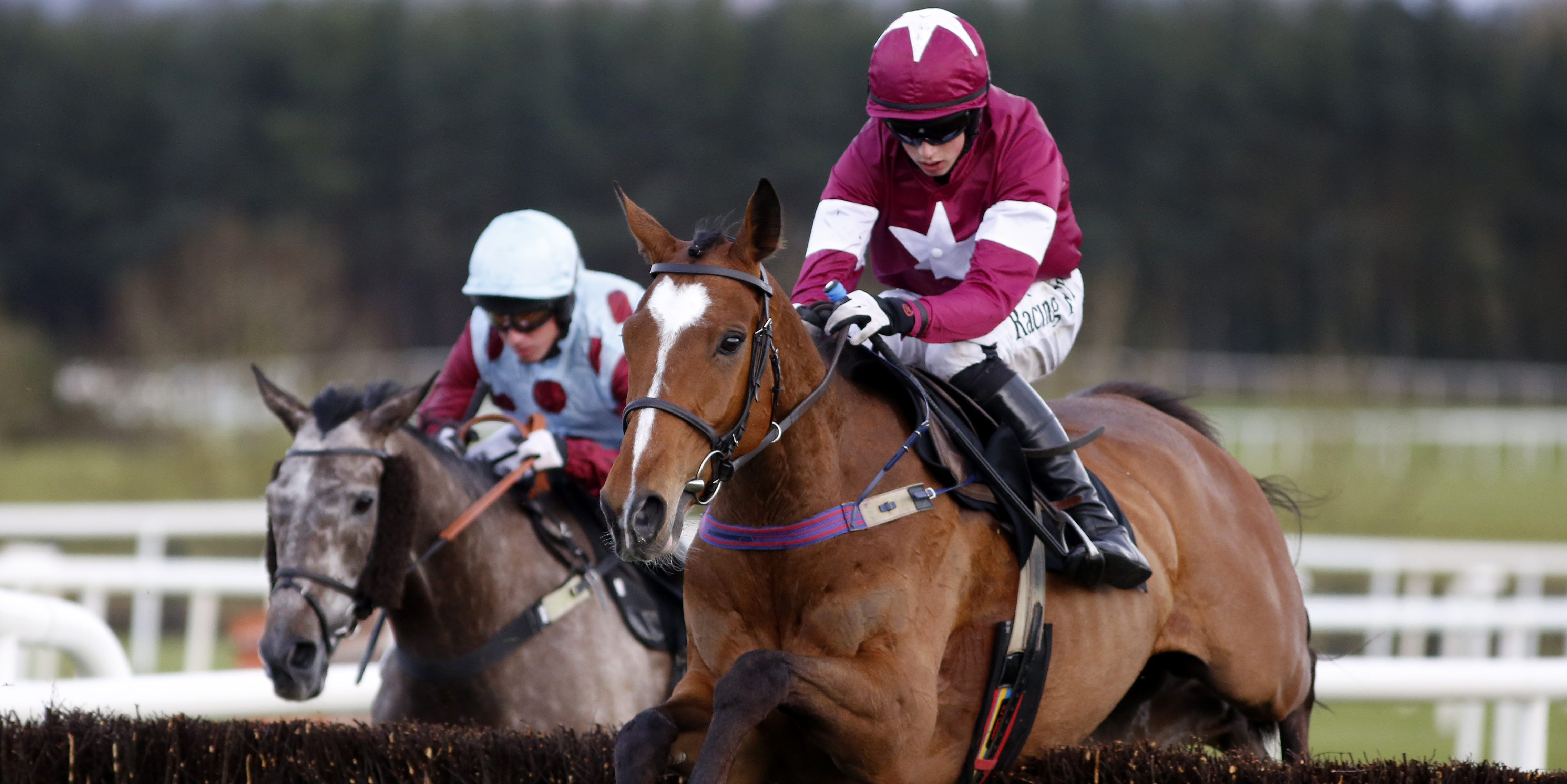 Don Poli heads Irish Gold Cup field