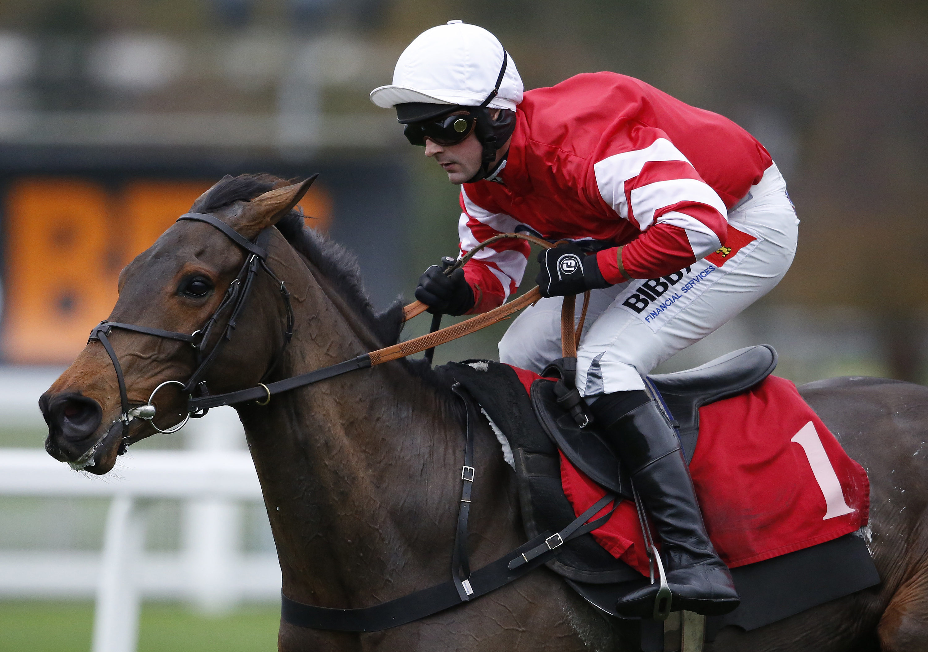 Coneygree primed for Aintree/Punchestown