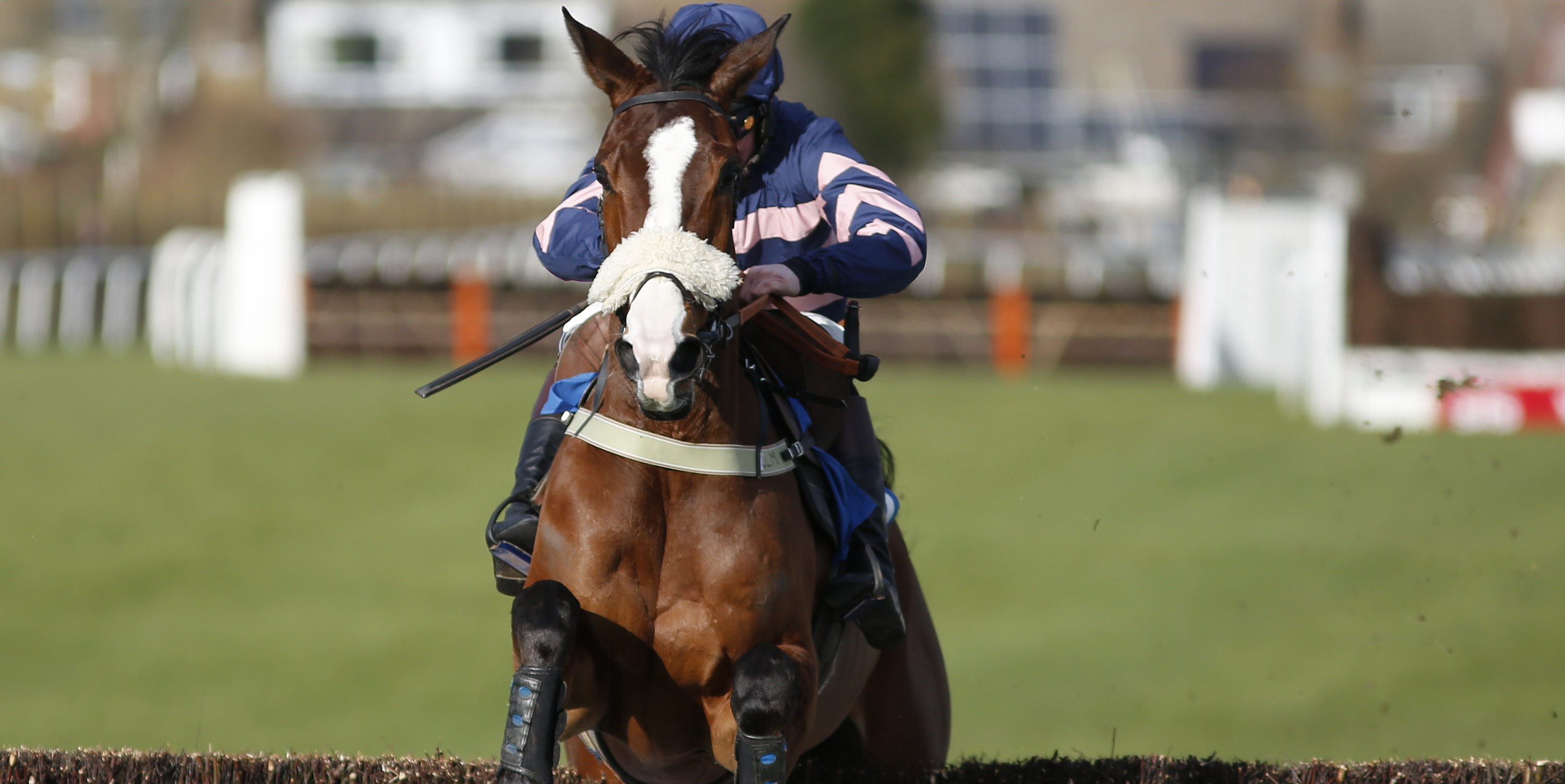 Ar Mad to miss Festival in favour of Aintree/Punchestown