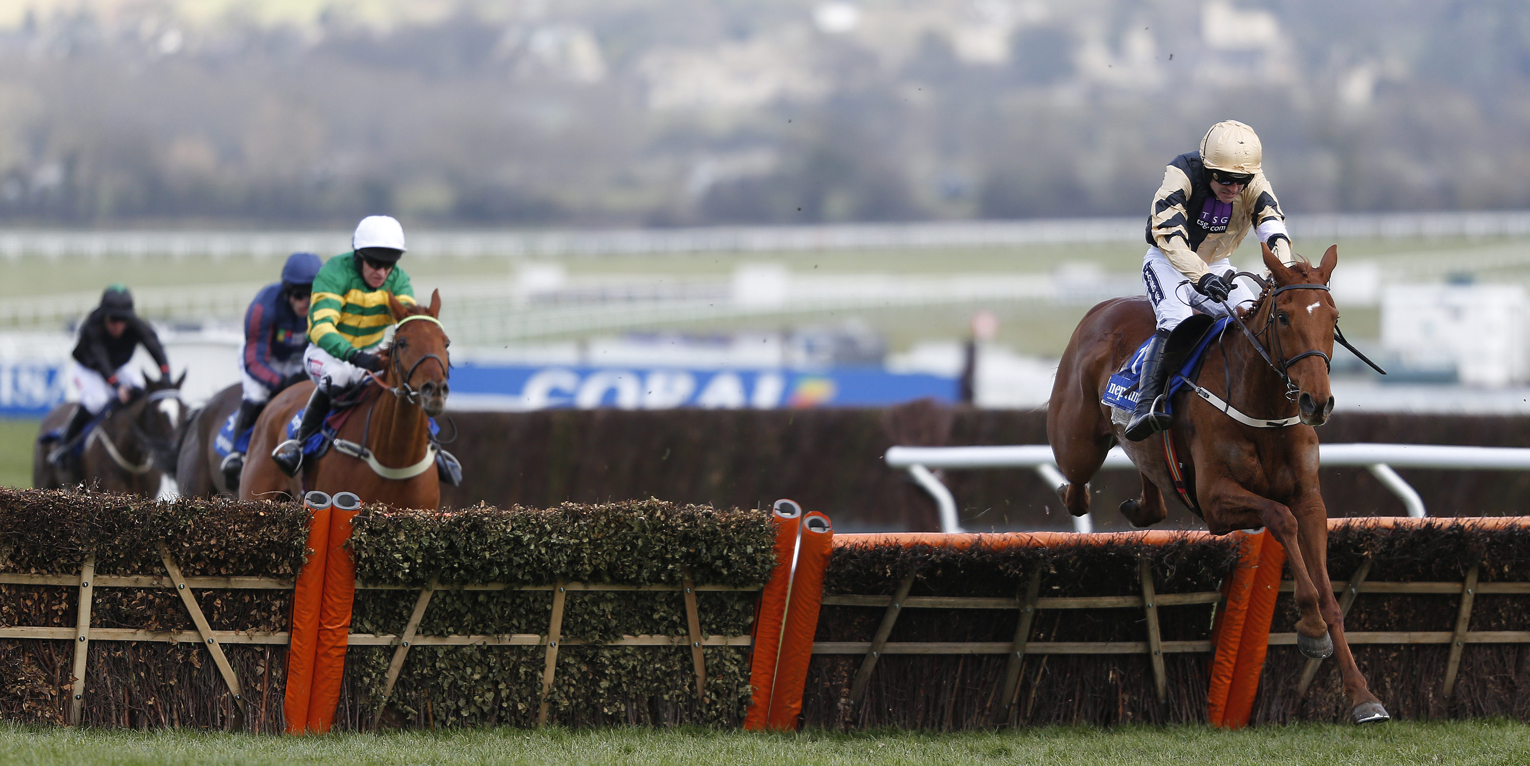 Yorkhill not in Champion Hurdle reckoning