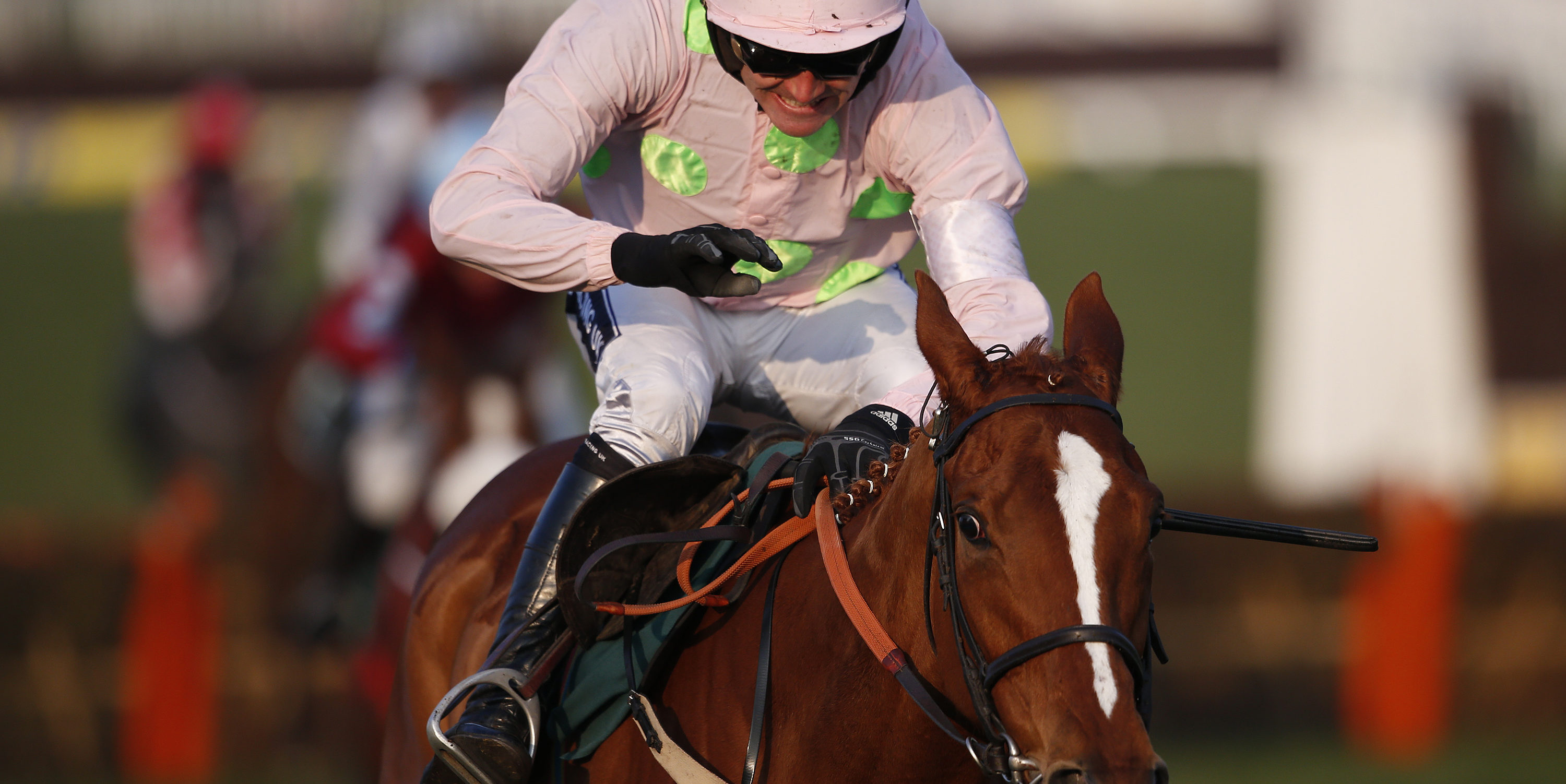 Mullins hints at Champion Hurdle entry for Limini