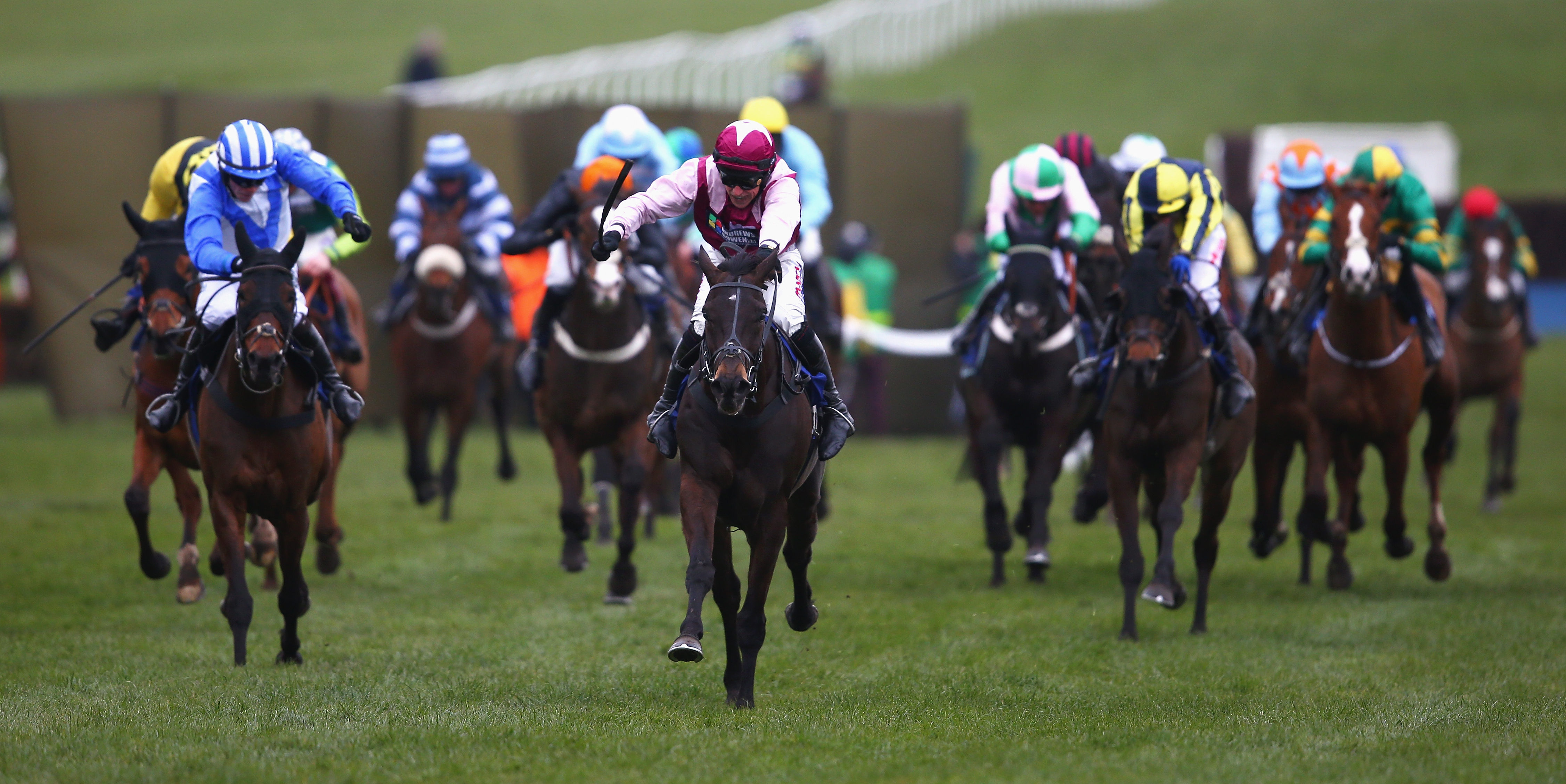 Skelton seeking Superb Story in Champion Hurdle