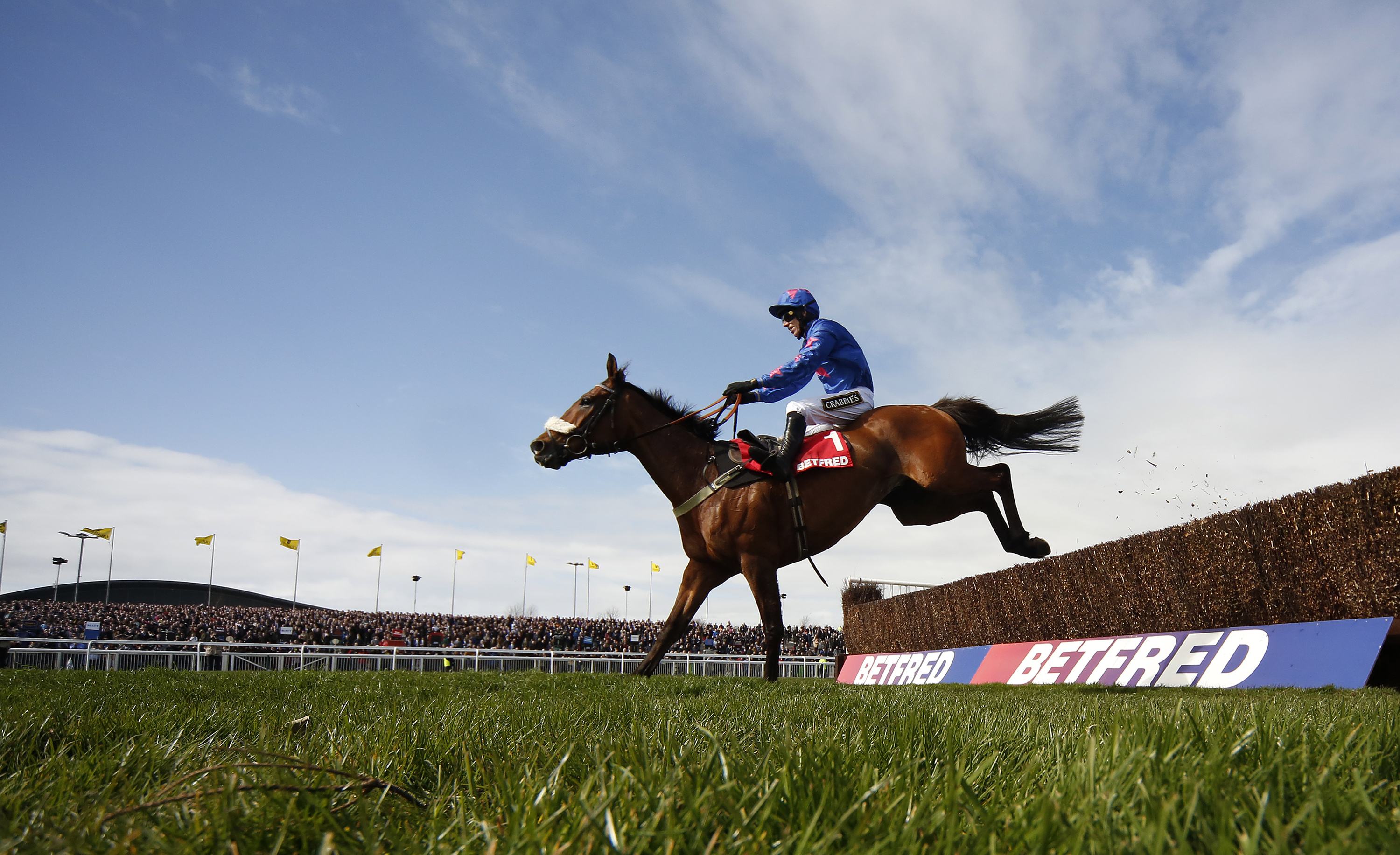 Banker double for today’s racing