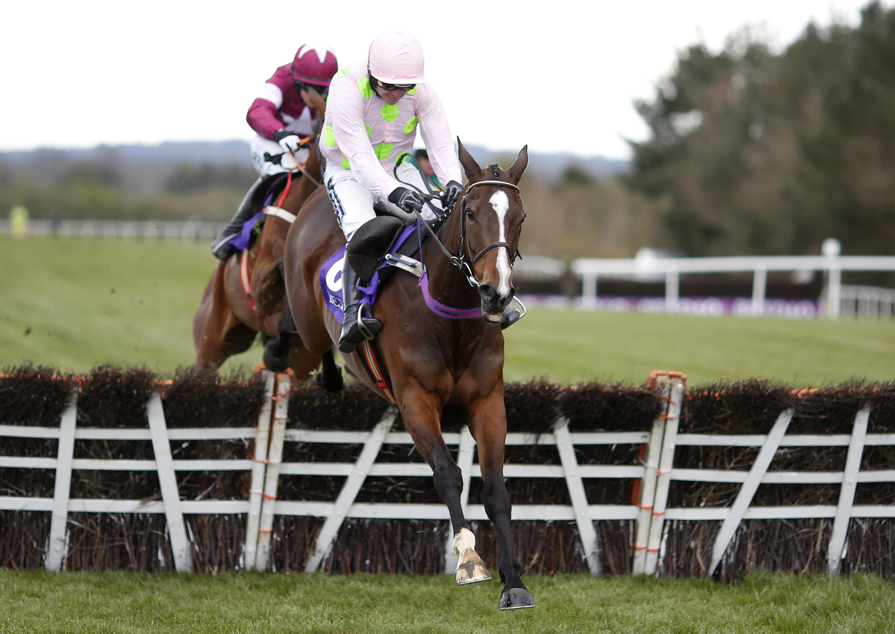 Ricci leaning towards Mares’ Hurdle with Vroum Vroum Mag
