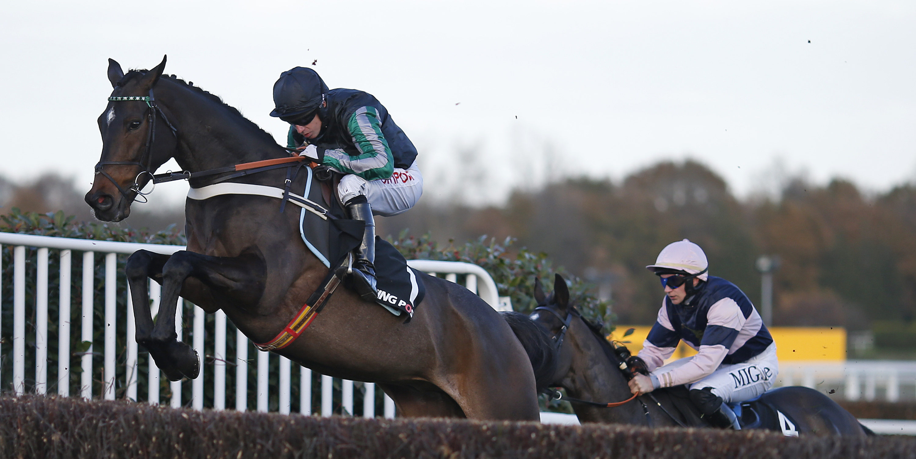 Altior vs. Fox Norton? The Verdict
