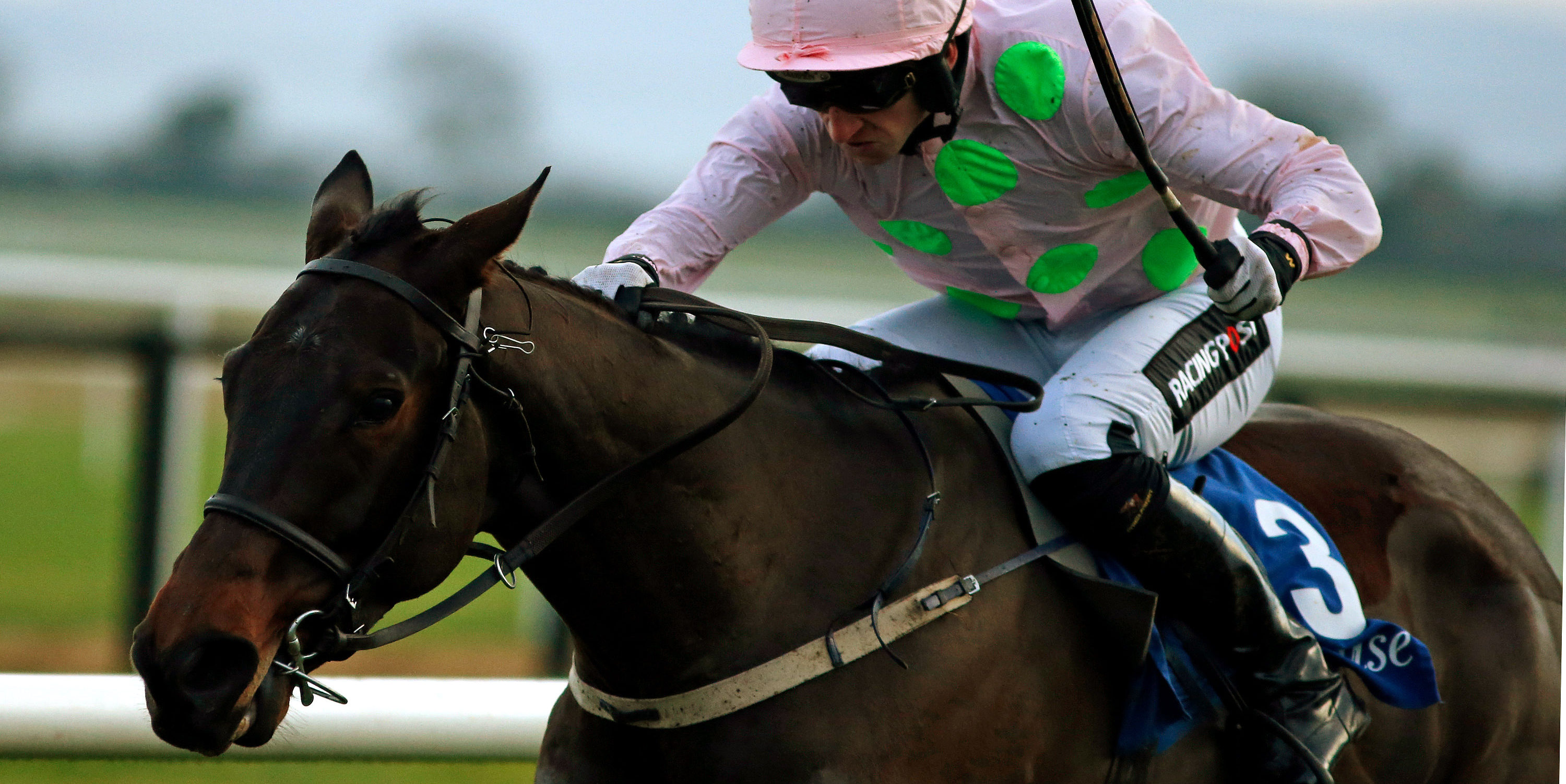 More woe for Mullins and Ricci as Getabird out of Cheltenham
