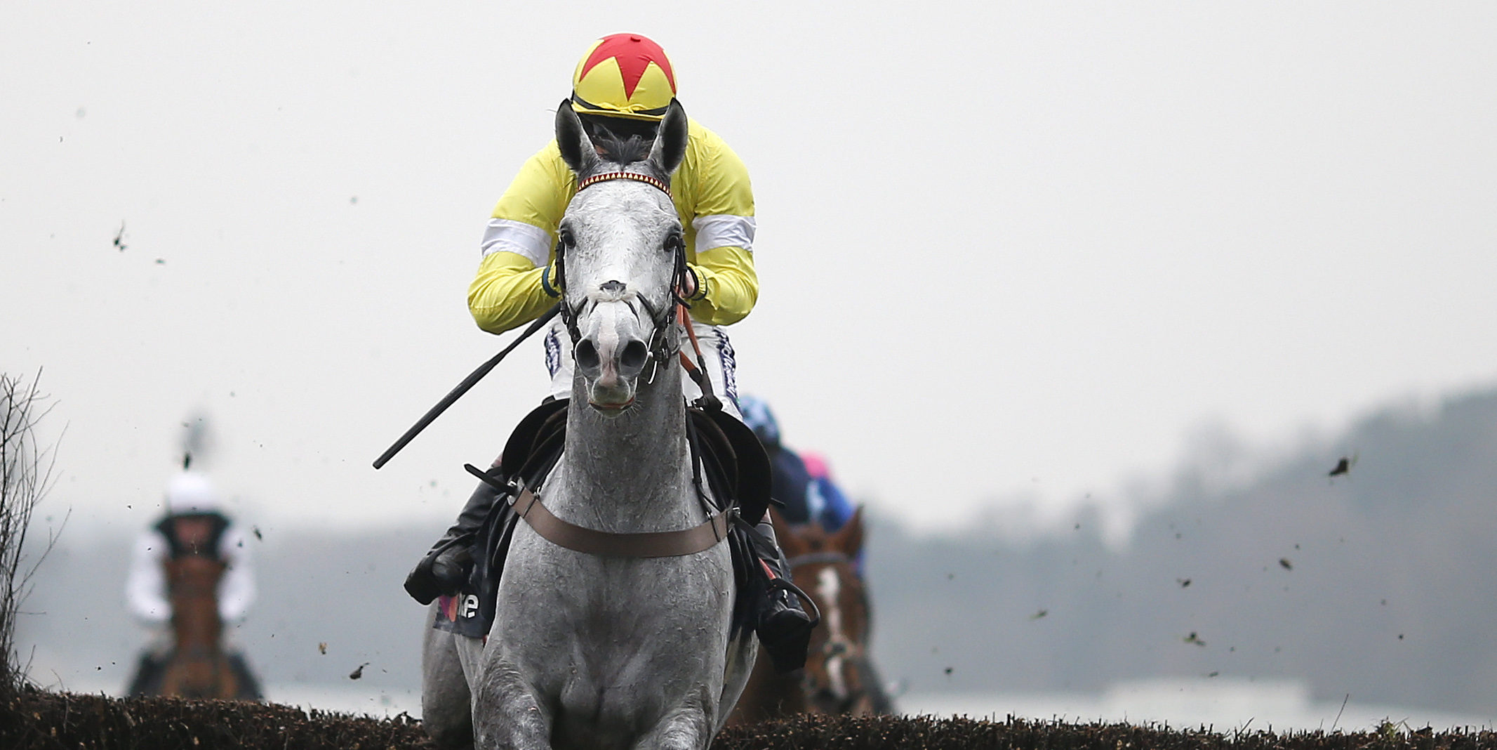 Politologue handed Kempton mission on Friday