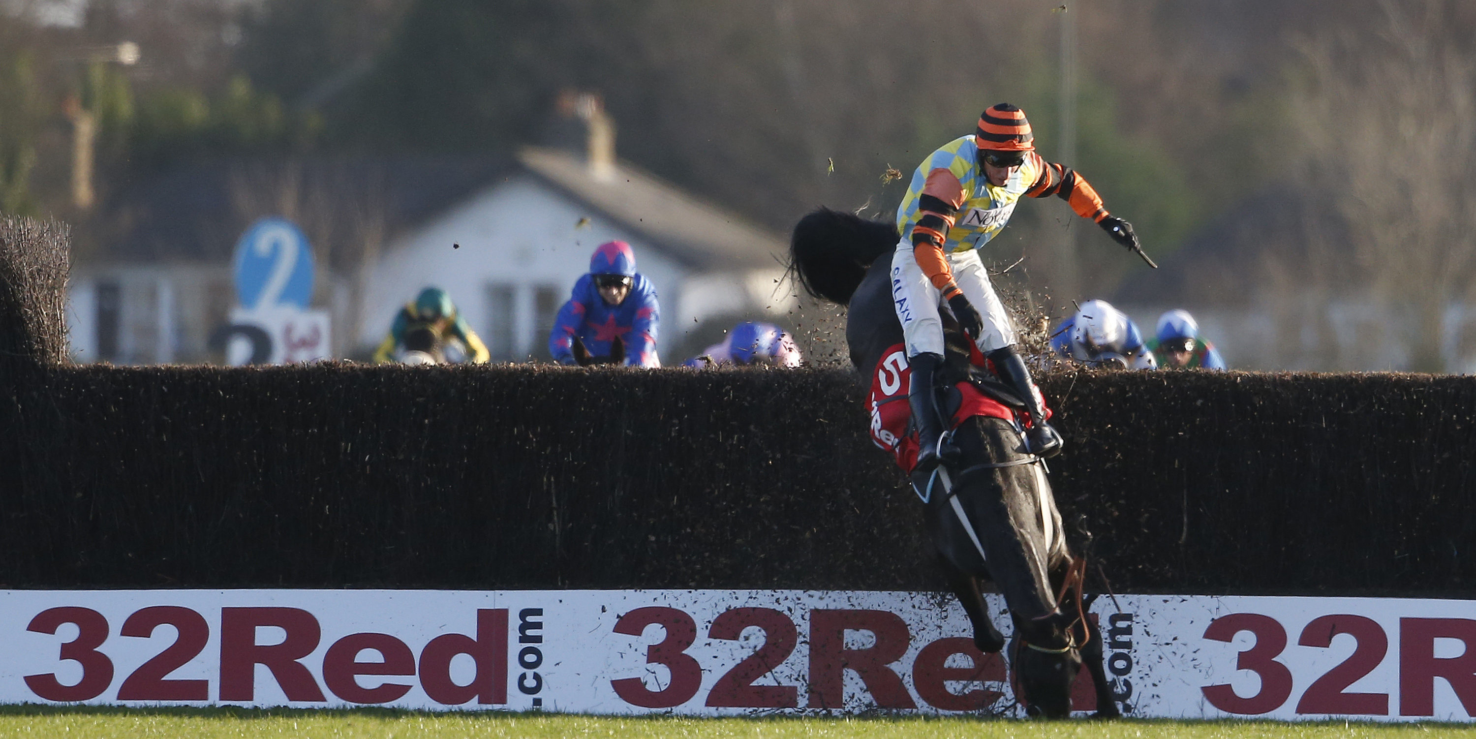 Keeper Hill and Might Bite enhance Festival prospects