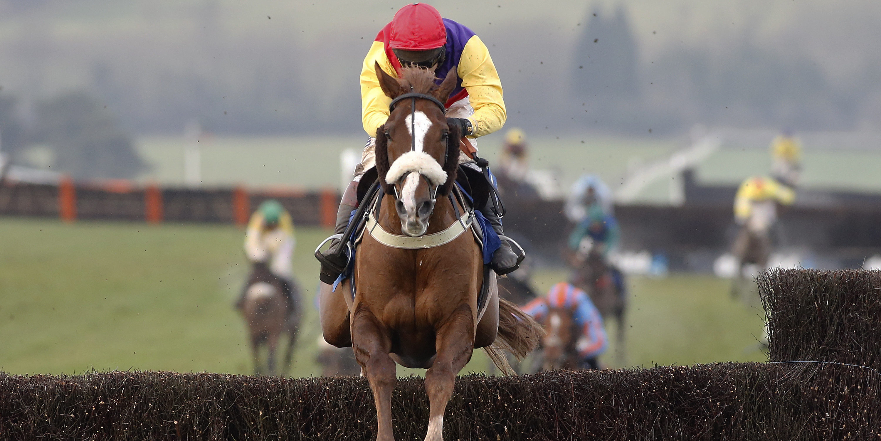 Native River star attraction at Newbury this weekend