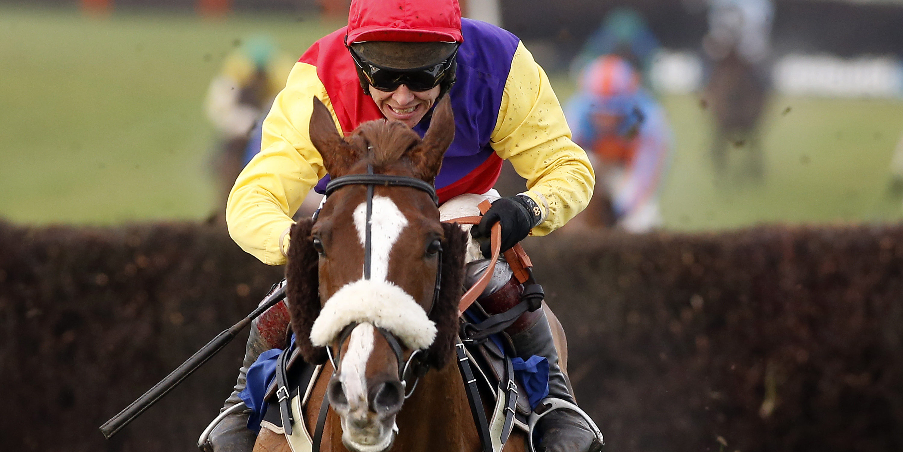 Native River vs. Bristol De Mail: who wins?