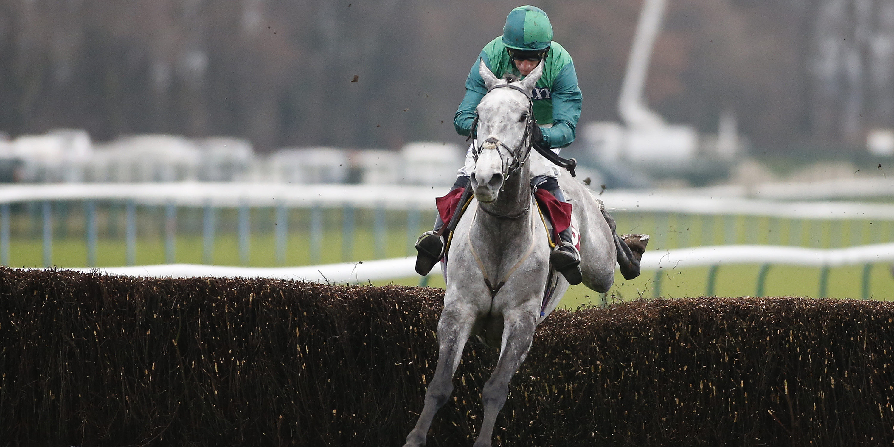 Bristol De Mai’s Gold Cup credentials on line says Jacob