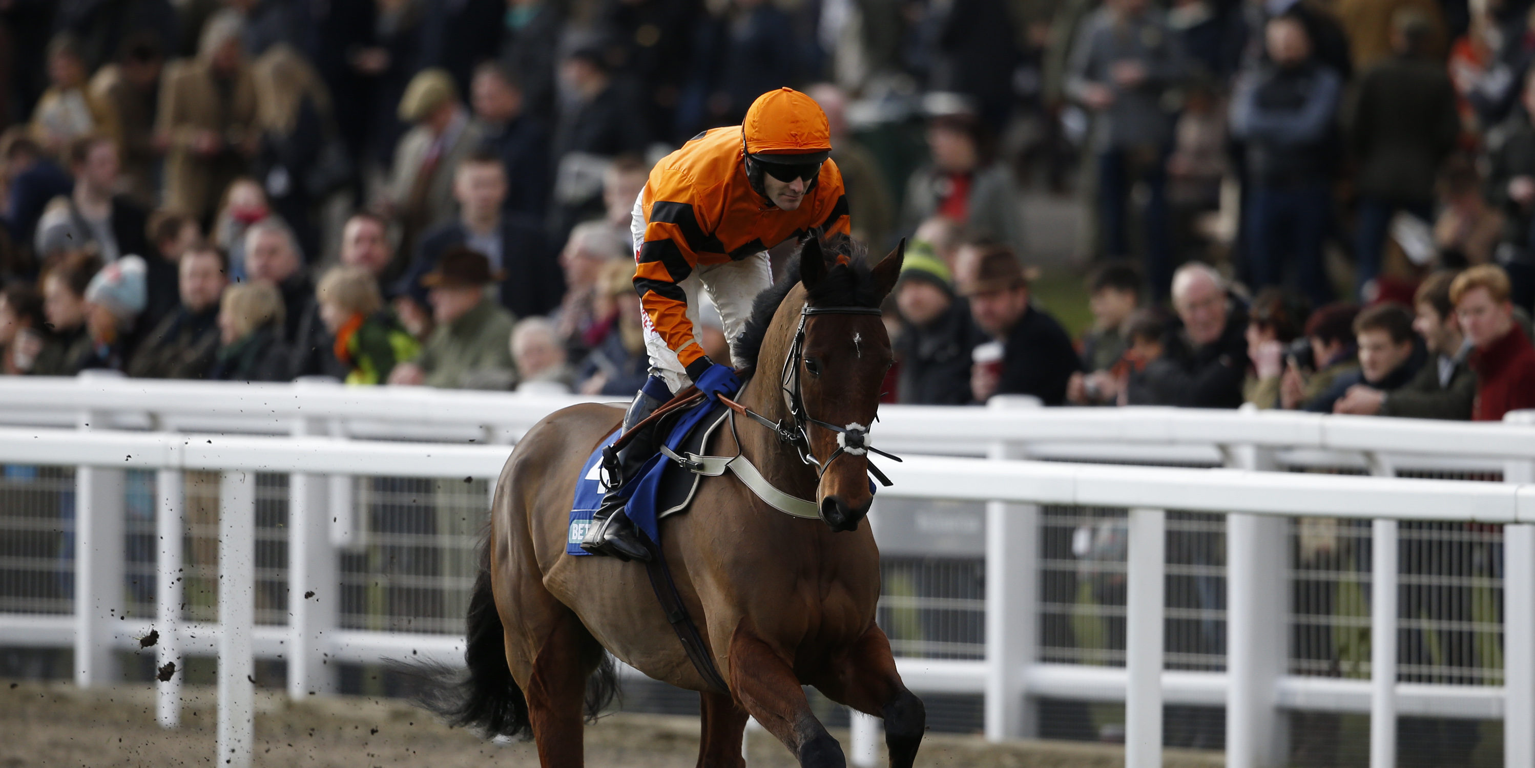 What does Thistlecrack’s injury mean for the Gold Cup?