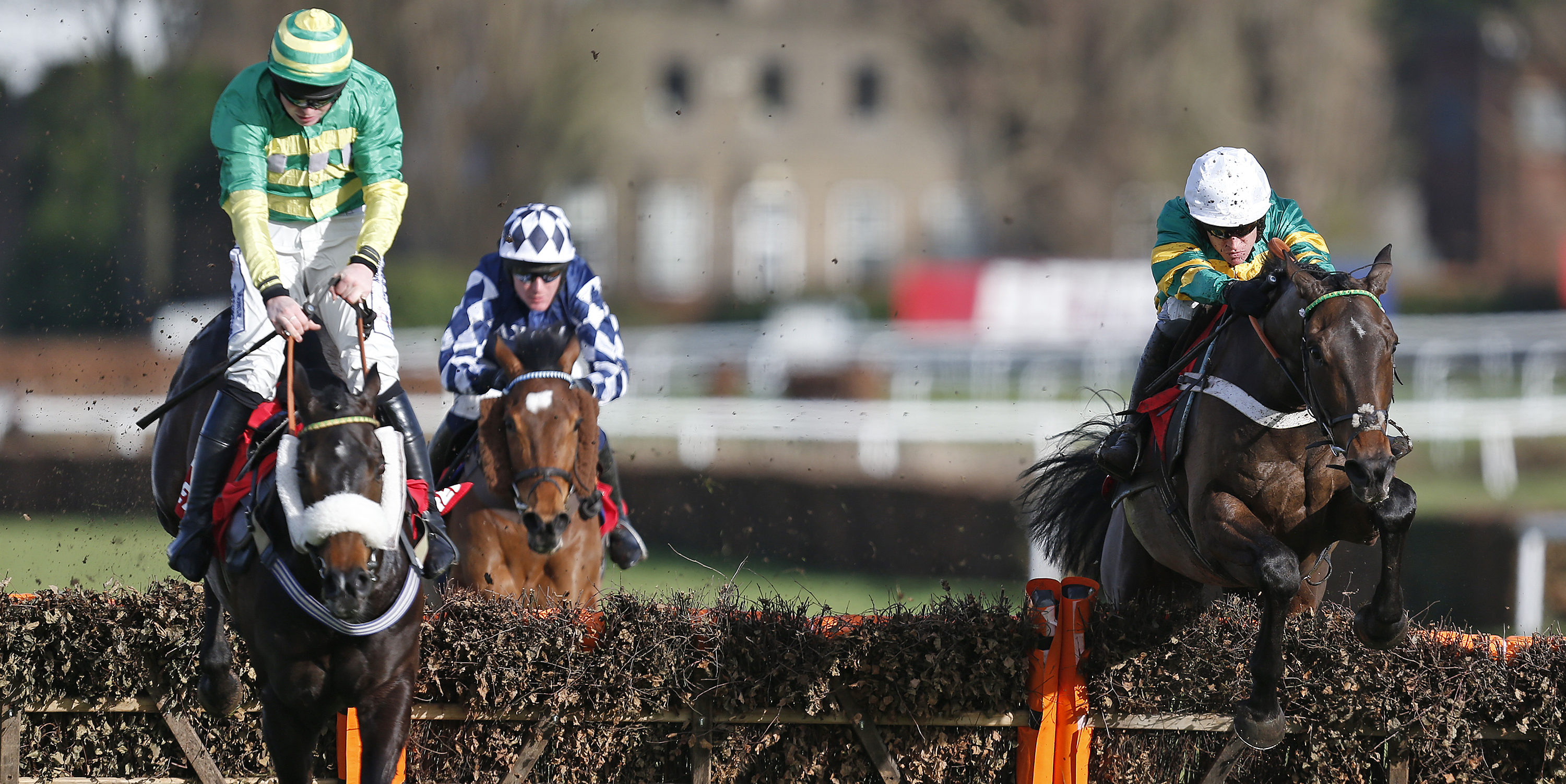 Open Champion Hurdle paves way for new two-mile king