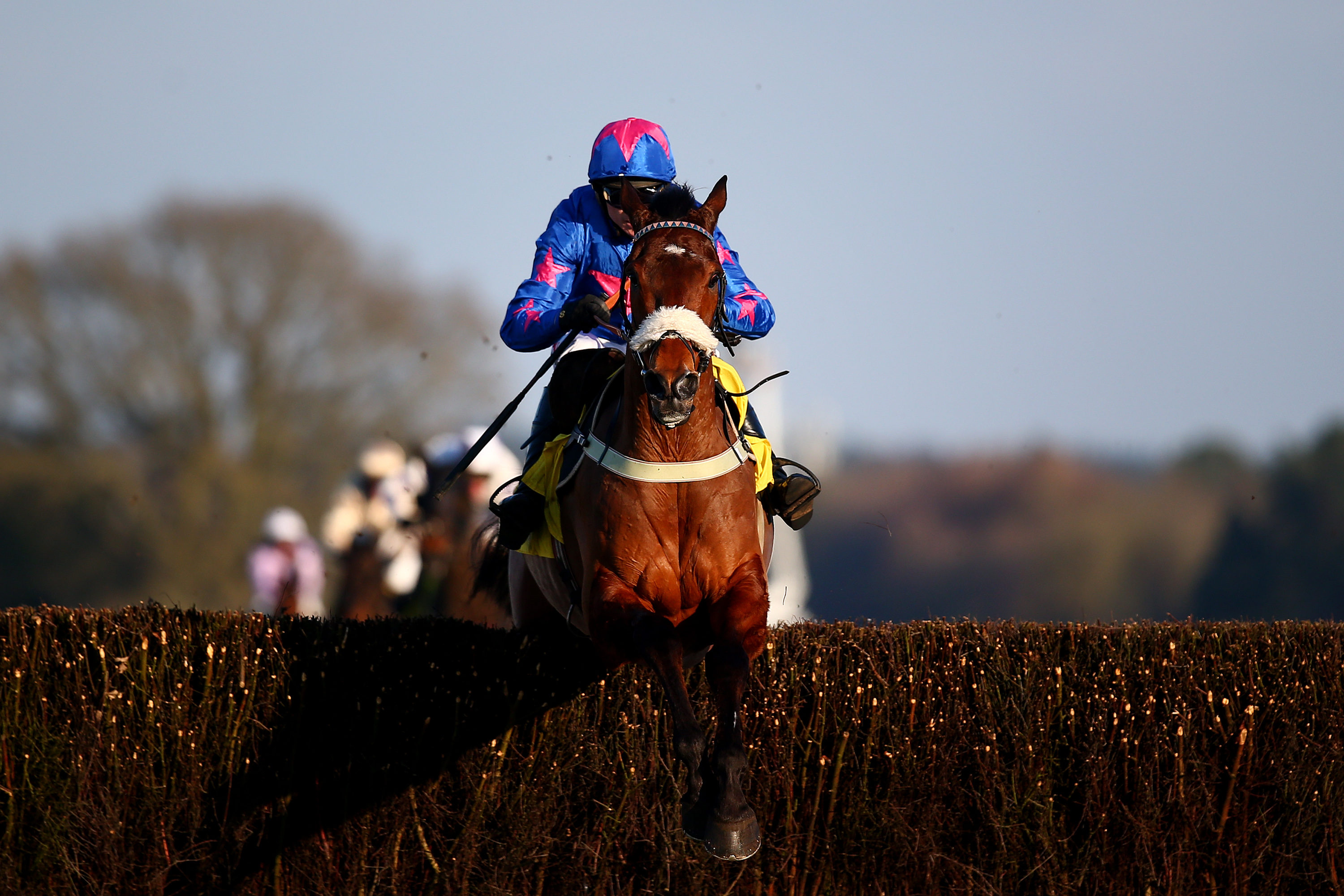 Bishop hints at Cue Card retirement