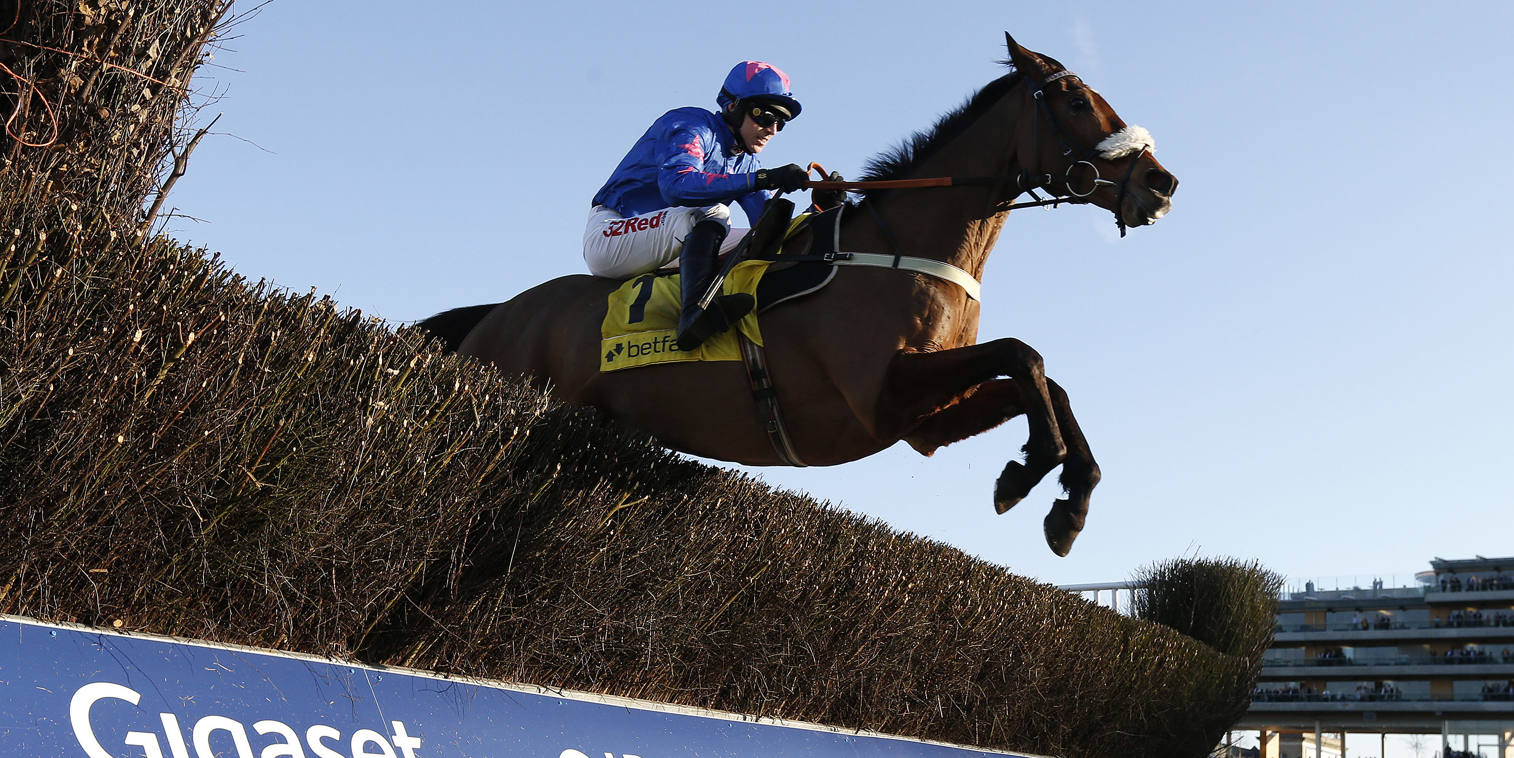 Cue Card trumps rivals in Ascot Chase romp