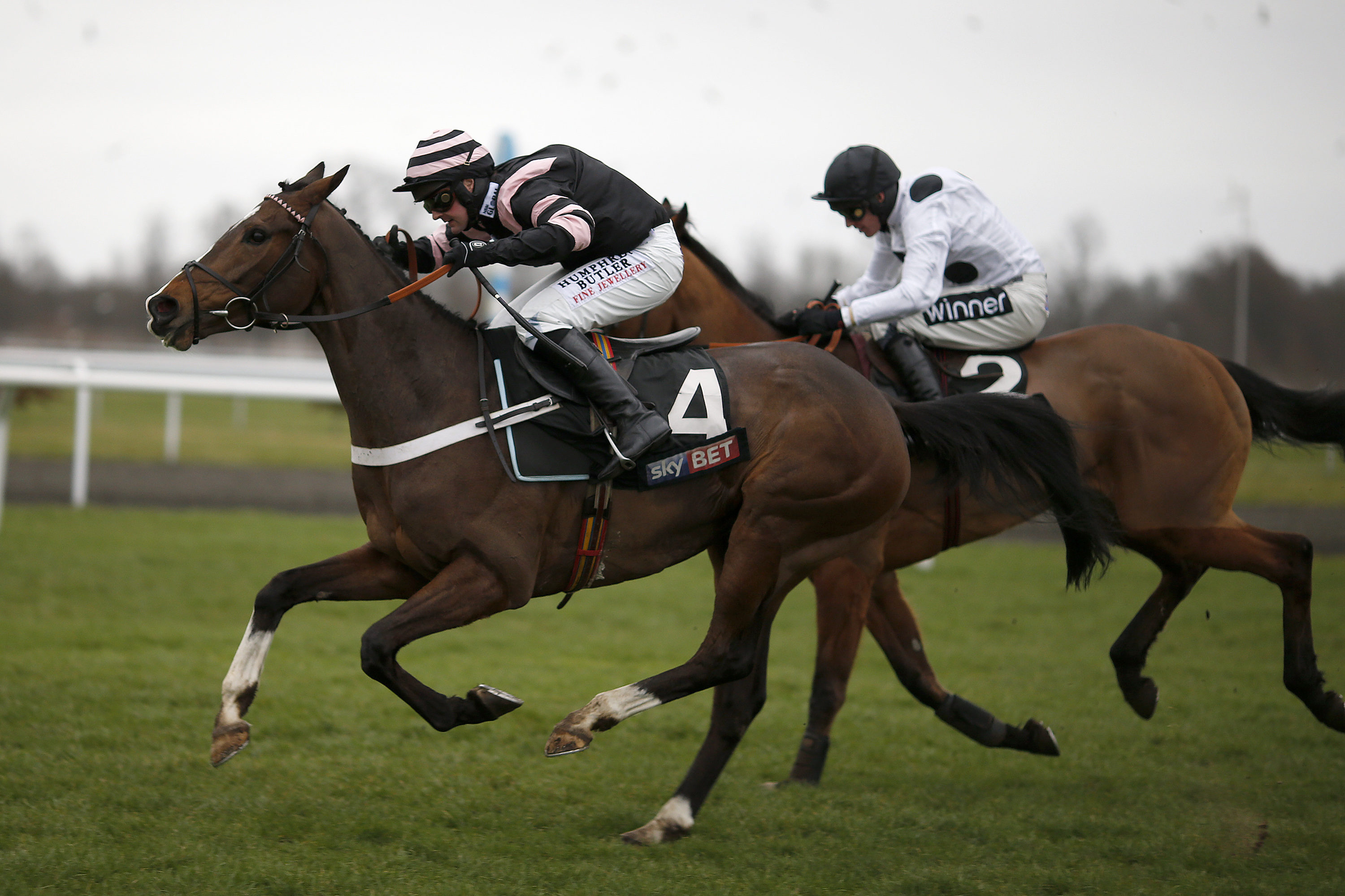 Saturday Review – Charli’s Cheltenham dream in tatters