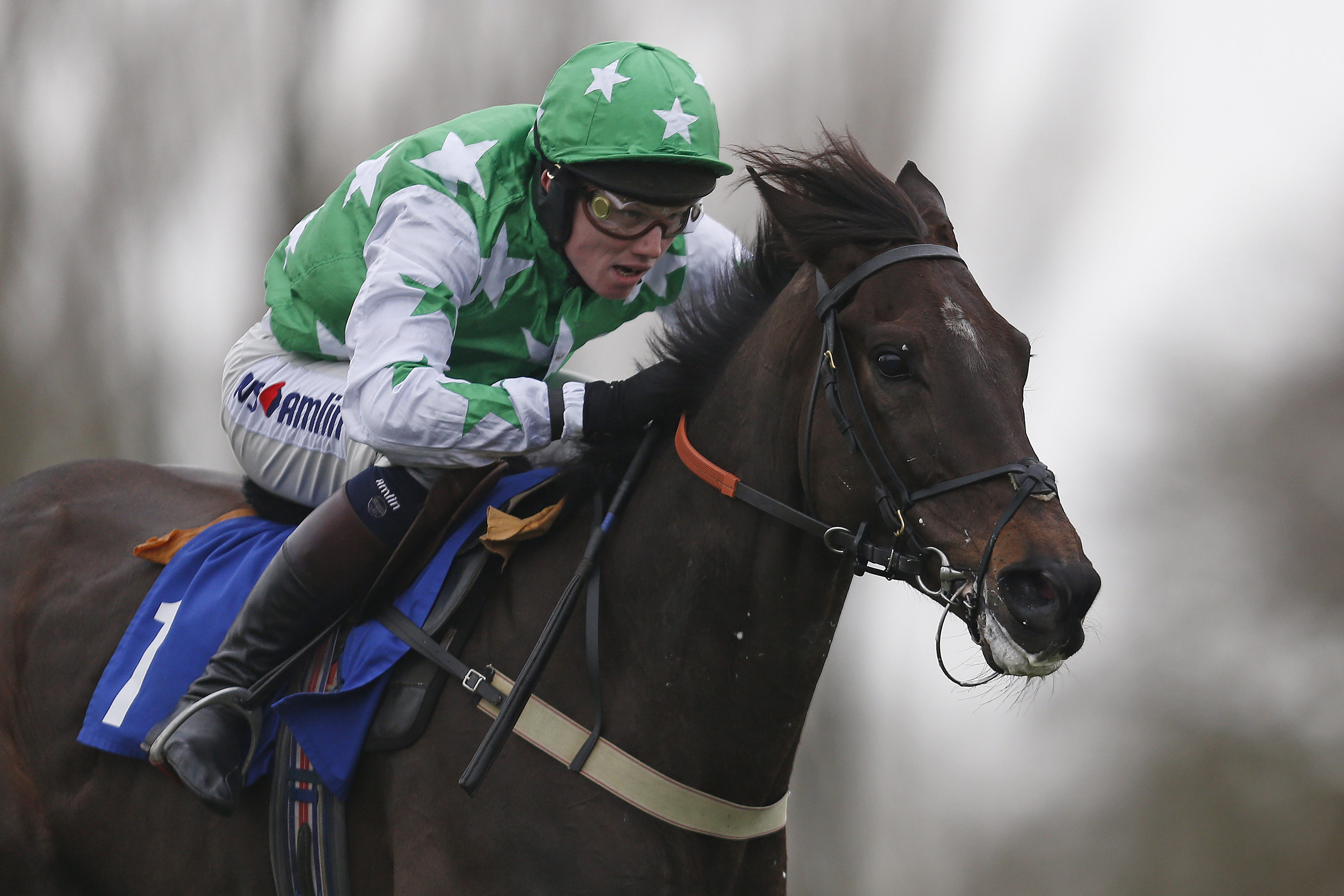 Camping Ground not pegged back in Fontwell’s National Spirit