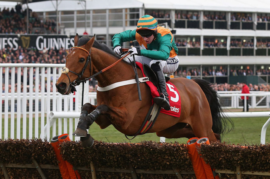 Cheltenham Festival - St Patrick's Thursday Alex Livesey/Getty Images Sport
