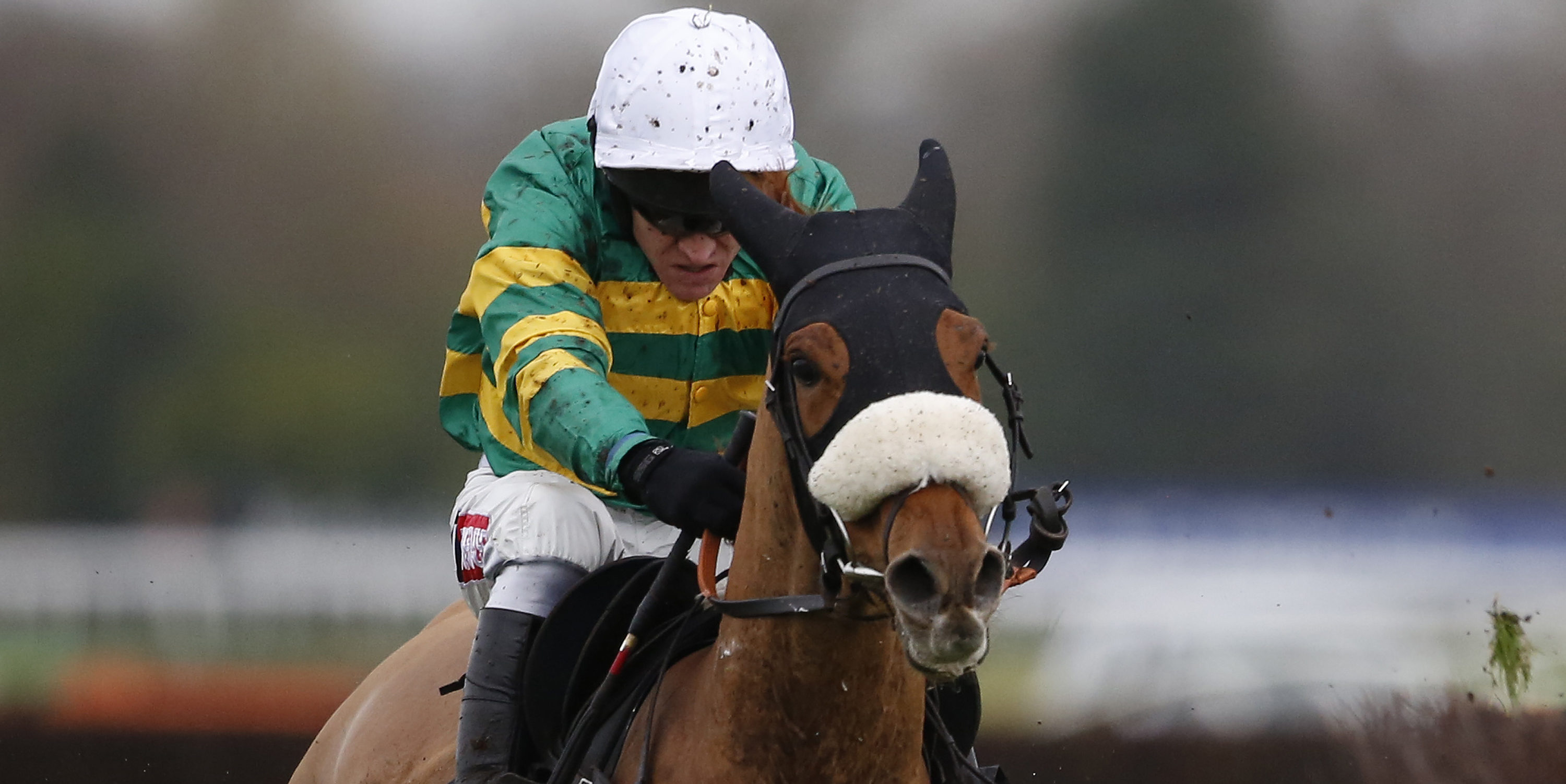 Ante-Post Focus: Modus to get job done at Cheltenham