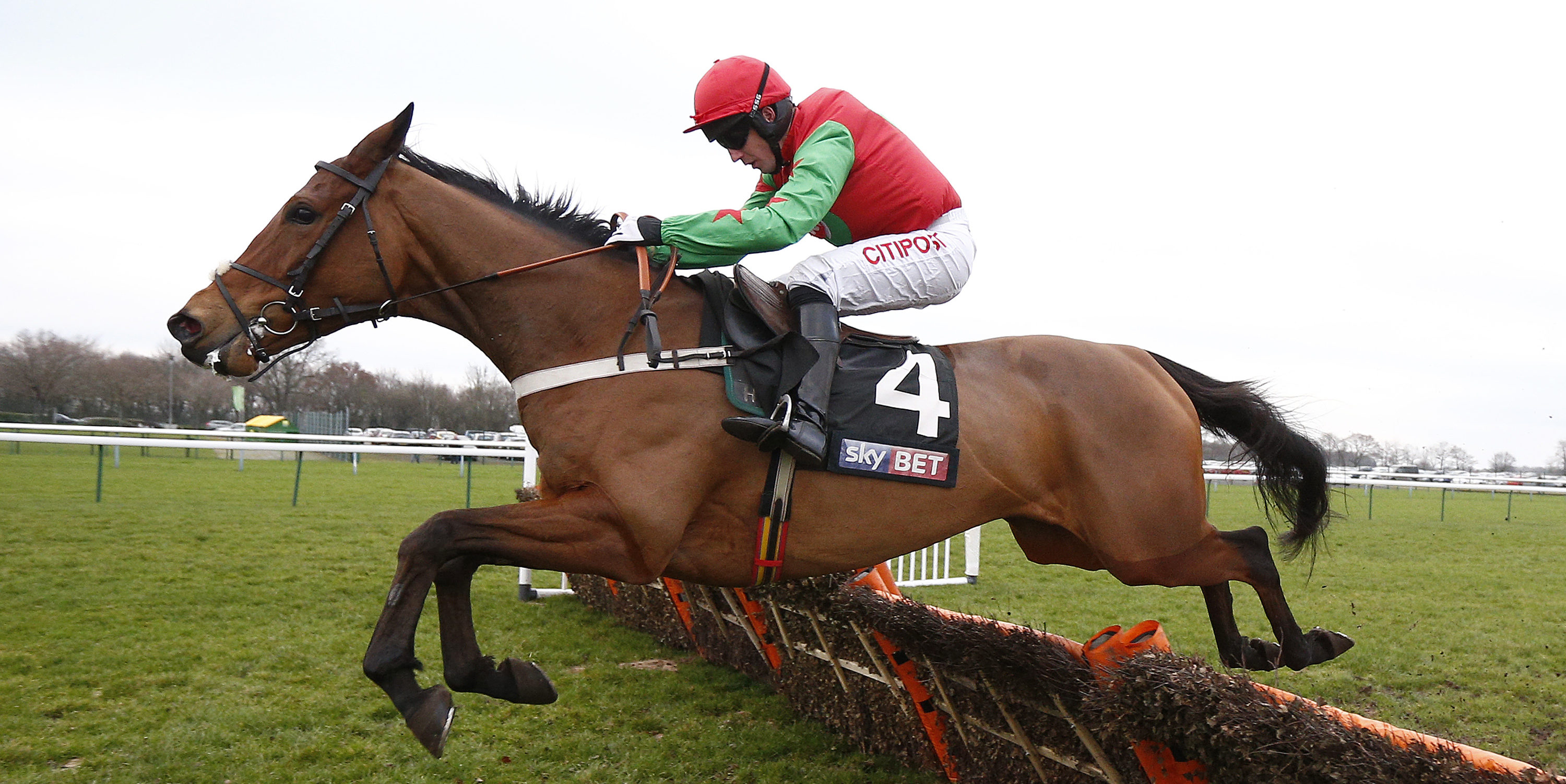 Wolf and Harry plans not finalised says Fry