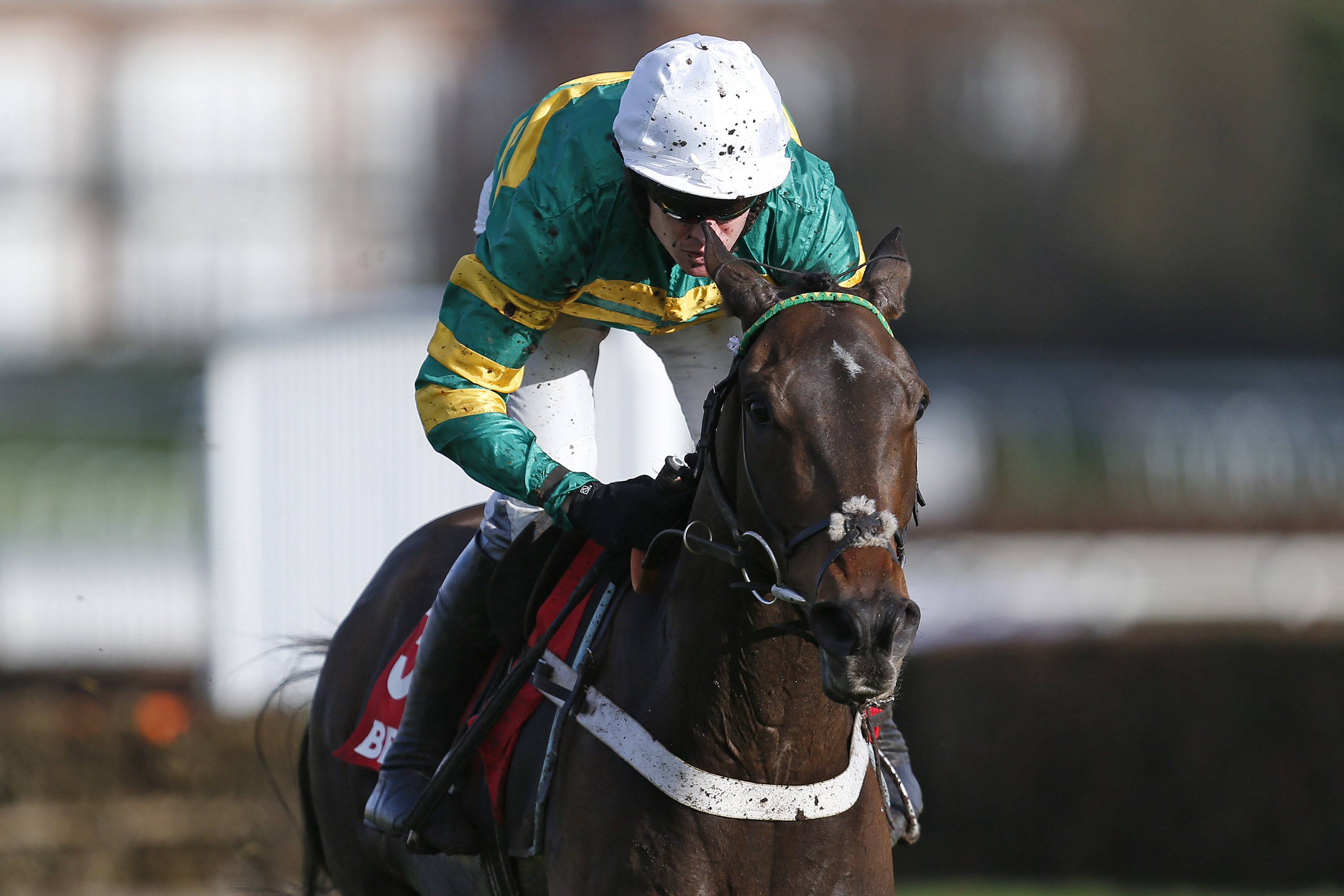 Henderson gives update on Champion Hurdle contenders