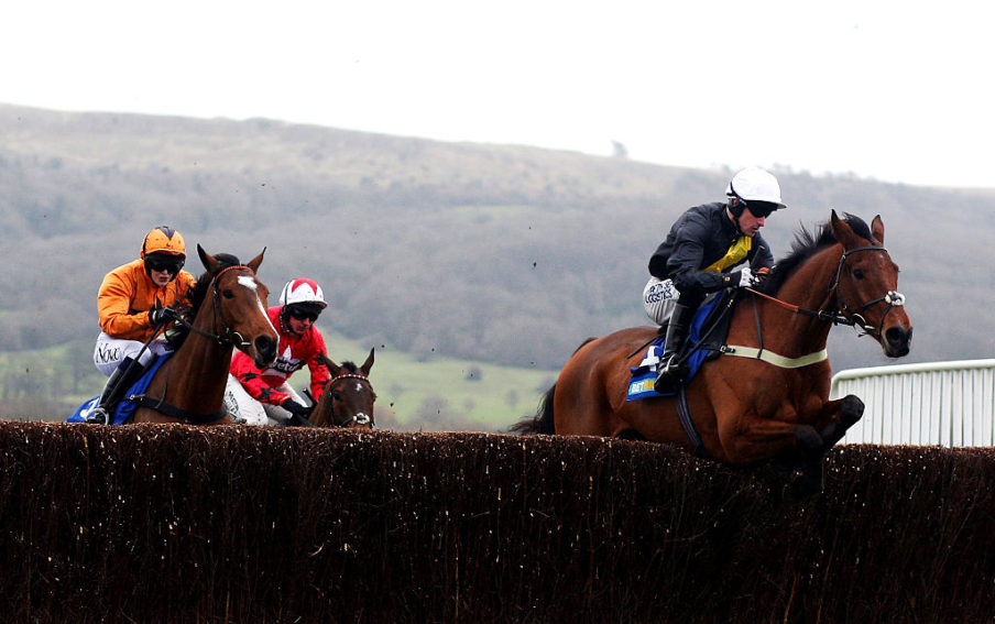 Cheltenham Races Alan Crowhurst/Getty Images Sport