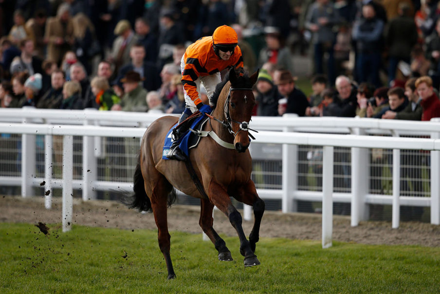 Cheltenham Races Alan Crowhurst/Getty Images Sport