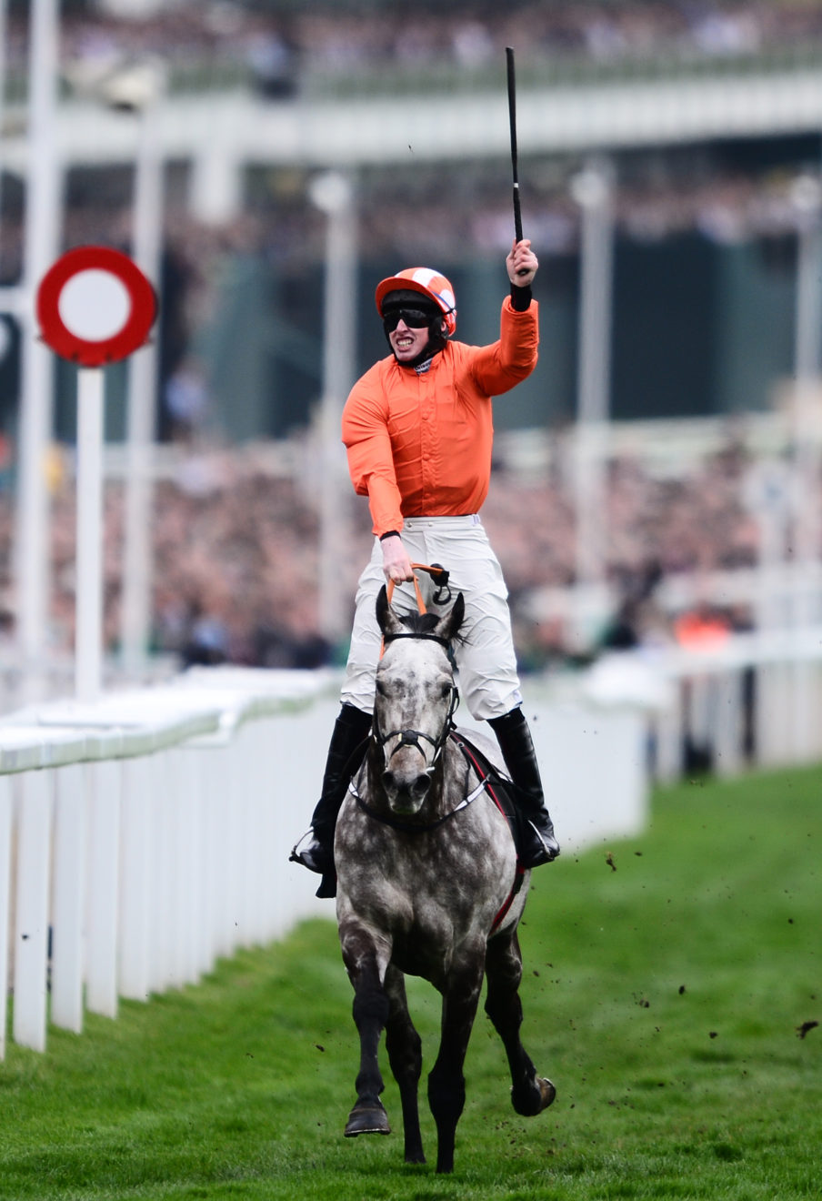 Cheltenham Festival - Champion Day Harry Trump/Getty Images Sport