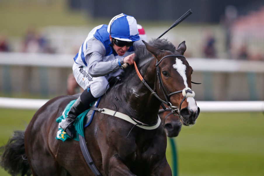 Newmarket Races Alan Crowhurst/Getty Images Sport