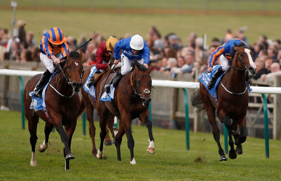 Newmarket Races Alan Crowhurst/Getty Images Sport
