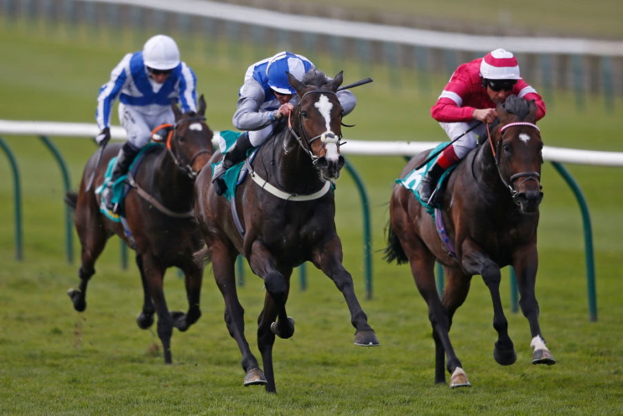 Newmarket Races Alan Crowhurst/Getty Images Sport