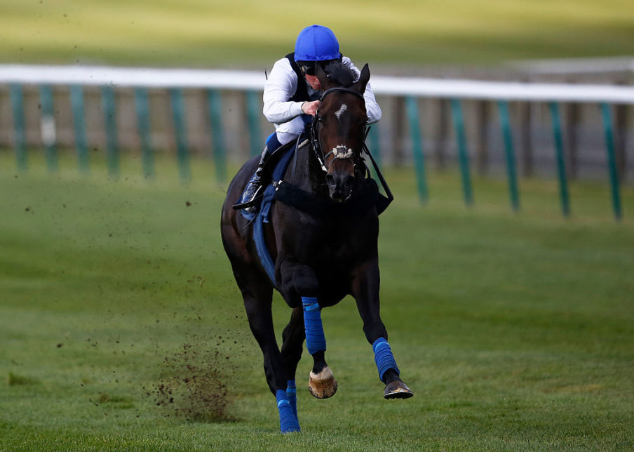 Newmarket Races Alan Crowhurst/Getty Images Sport