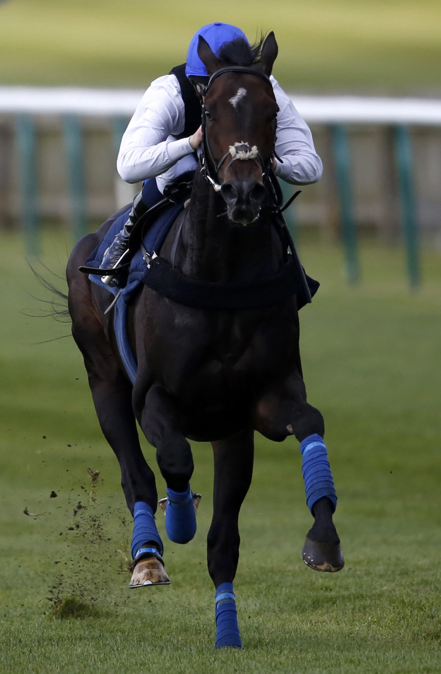 Newmarket Races Alan Crowhurst/Getty Images Sport