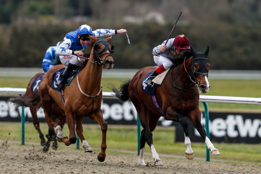 Lingfield Races Alan Crowhurst/Getty Images Sport