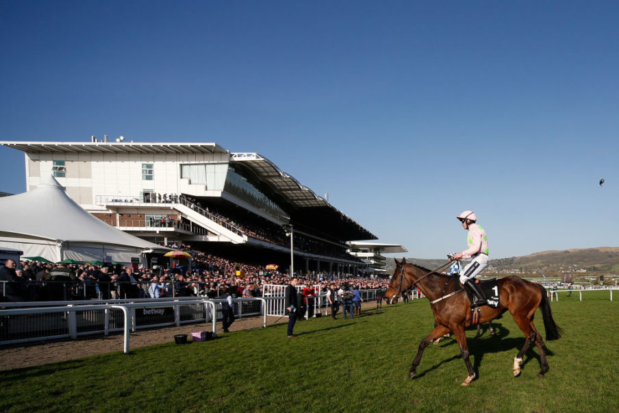 Cheltenham Festival - Ladies Day Alan Crowhurst/Getty Images Sport