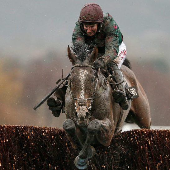 Cheltenham Races Alan Crowhurst/Getty Images Sport