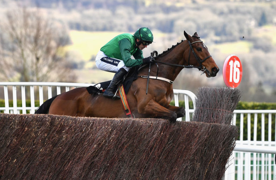 Cheltenham Festival - Champion Day Dan Mullan/Getty Images Sport