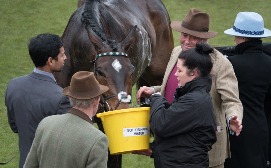 Cheltenham Festival Day 2 - Ladies Day Matt Cardy/Getty Images Entertainment