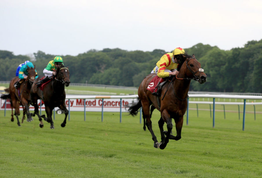 Haydock Races Clint Hughes/Getty Images Sport