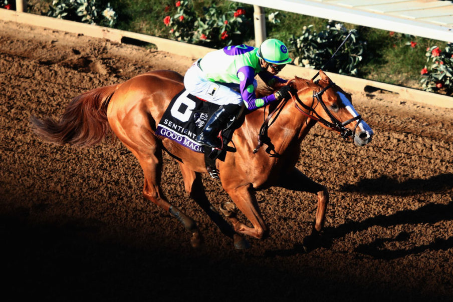 2017 Breeders' Cup World Championships at Del Mar - Day 2 Sean M. Haffey/Getty Images Sport