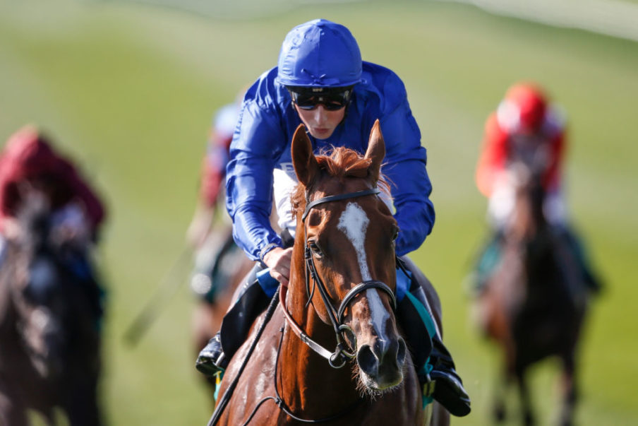 Newmarket Races Alan Crowhurst/Getty Images Sport