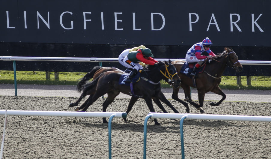 Lingfield Races Alan Crowhurst/Getty Images Sport