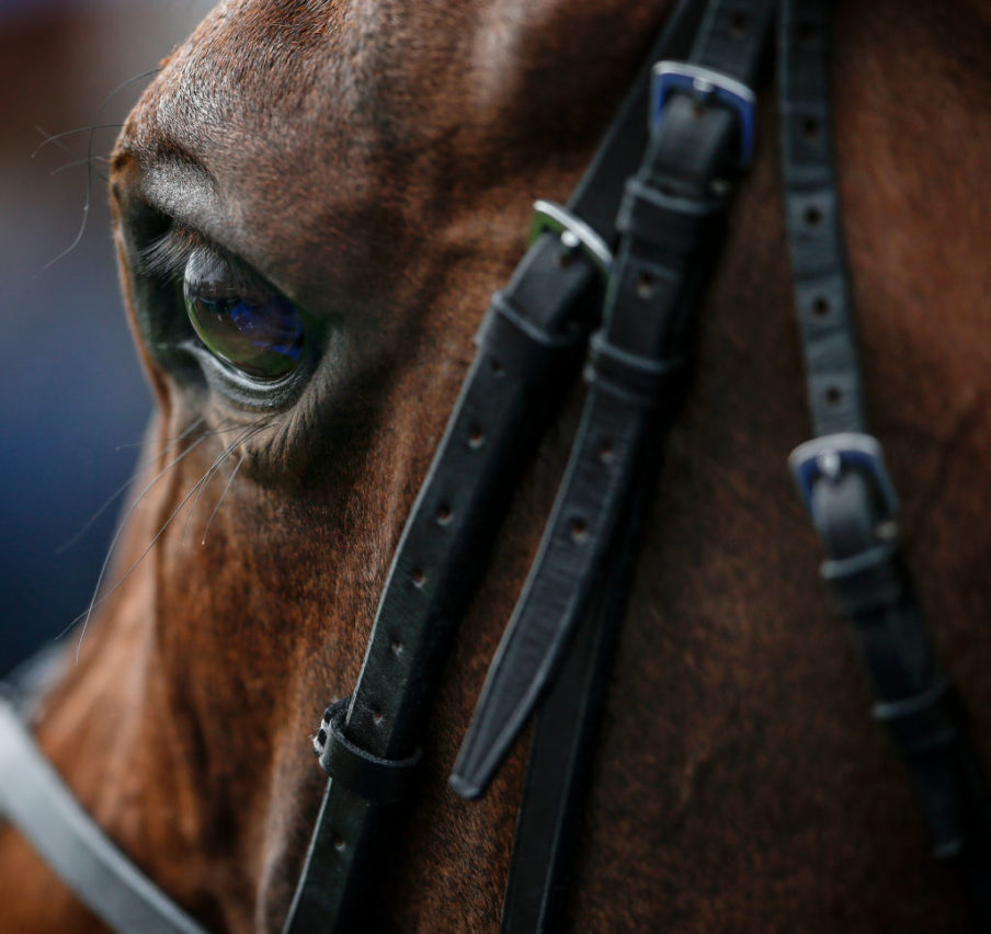 York Races Alan Crowhurst/Getty Images Sport