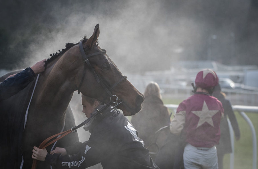 Matt Cardy/Getty Images News