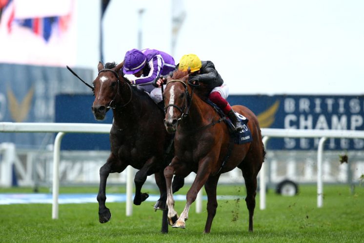 Ascot Races - QIPCO British Champions Day Charlie Crowhurst/Getty Images Sport
