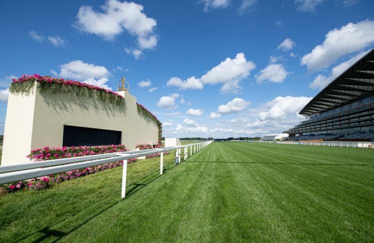 Preparations Are Made Ahead Of Royal Ascot Pool/Getty Images Sport
