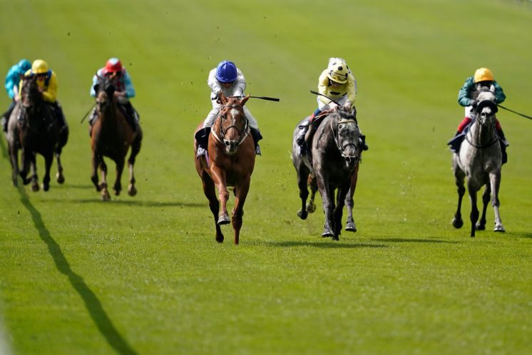 Newmarket Races Alan Crowhurst/Getty Images Sport