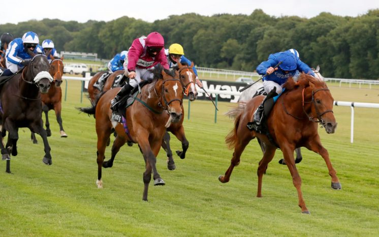 Haydock Races Pool/Getty Images Sport