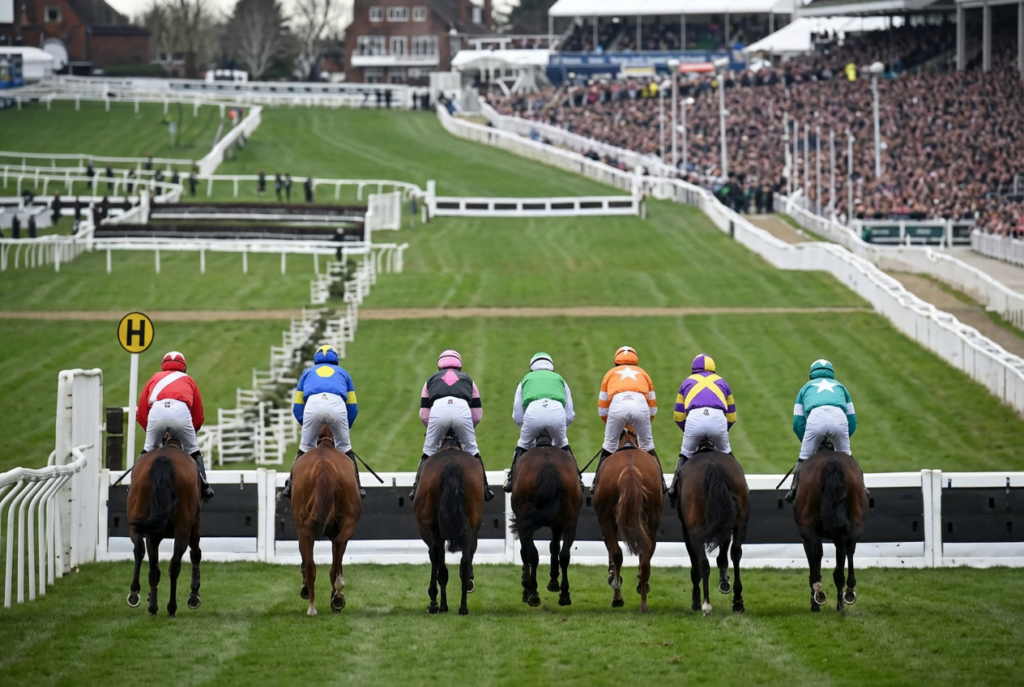 2026 Cheltenham Festival Favourites