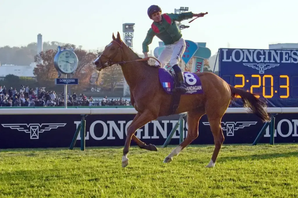 2026 Sheema Classic Runners Guide: Europeans Collide In Meydan Showdown